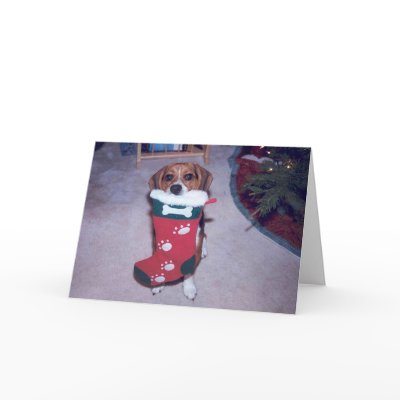 Holiday Card