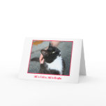 Holiday Card
