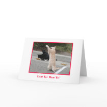 Holiday Card