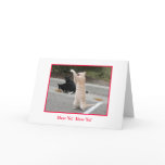 Holiday Card