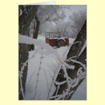 Holiday Card cards
