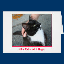 Holiday Card cards