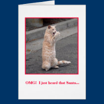 Holiday Card cards