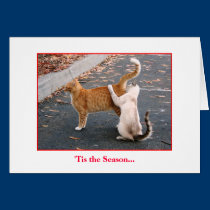 Holiday Card cards