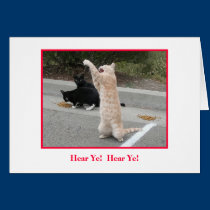 Holiday Card cards