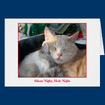 Holiday Card cards