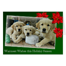 Holiday Card 11