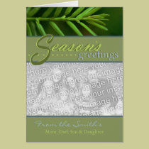 Holiday Card - Season's Greetings - Customized cards