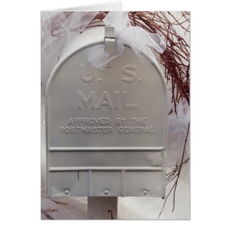 Holiday Card: White Ribbon on Mail Box in Winter