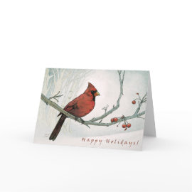 Holiday Cardinal Greeting Card card