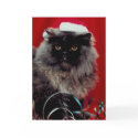 Holiday Cat cards