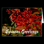 Holiday Cheer and Greetings cards