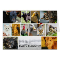 Holiday FARM Card cards
