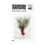 christmas, holiday, pointsetta, flowers,