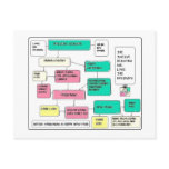 Holiday Flow Chart Post Card
