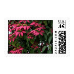 Holiday Foliage Postage Stamp
