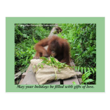 Holiday Gifts Jungle Style for Orangutans Postcards