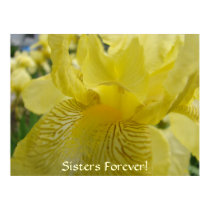 HOLIDAY GIFTS SISTERS FOREVER! Art Print Irises by Basleeartprintgifts HOLIDAY GIFTS SISTERS FOREVER! Art Print Irises