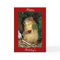 Holiday Giving, Happy, Holiday's cards