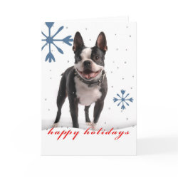 Holiday Greeting Card card