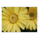 Holiday greeting card,daisy flowers greeting cards