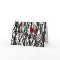 Holiday Greetings cards