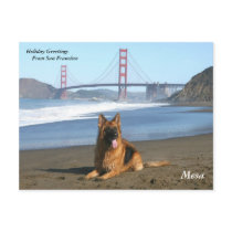 Holiday Greetings from San Francisco postcards