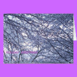 Holiday Greetings cards