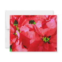 Holiday Greetings_ invitations by ELENNE Holiday Greetings_ invitations