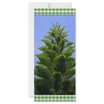Holiday Happiness_ rack cards by zazzlegirboy09 Holiday Happiness_ rack cards