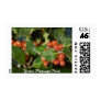 Holiday Holly  Customized...