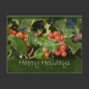 Holiday Holly - Happy Holidays postcards by HolidayGreetings Holiday Holly - Happy Holidays postcards