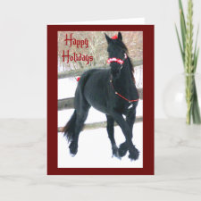 Holiday Horse Greeting Cards card