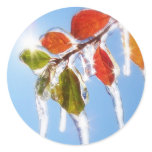 Holiday Leaves Sticker