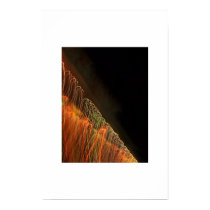 holiday lights posters by guajero holiday lights posters