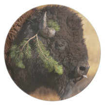 Holiday Mischief Plates