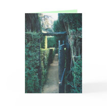 holiday & new year adventure cards