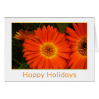 Holiday orange daisy flower Christmas, holiday Greeting Card