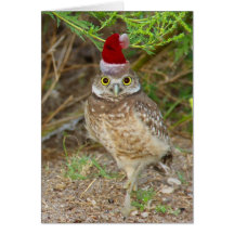 Holiday Owl Greeting Card