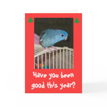 Holiday Poopy Card by linniegirl Holiday Poopy Card