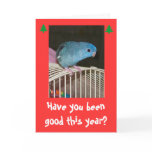 Holiday Poopy Card