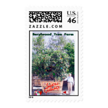 Holiday Postage Stamps