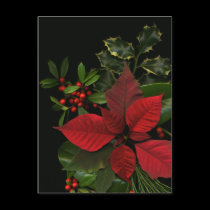Holiday Postcard by DJHinVA Holiday Postcard