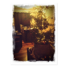 Holiday Postcard