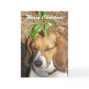 Holiday Pup cards by closphotos Holiday Pup cards