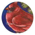 HOLIDAY RED CARDINAL HOLIDAY RED CARDINAL