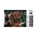 Holiday Redbone Coonhound postage by Joan16 Holiday Redbone Coonhound postage