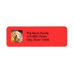 Holiday Return Address Label