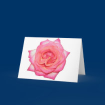 Holiday Rose cards