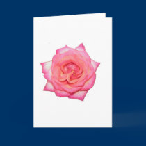 Holiday Rose cards